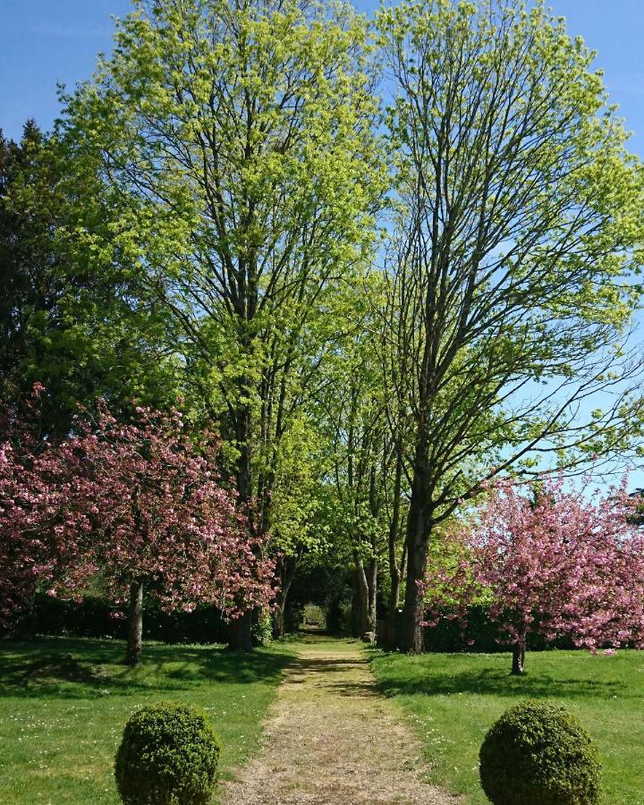 Domaine De Bourgville Monts-sur-Guesnes Eksteriør billede
