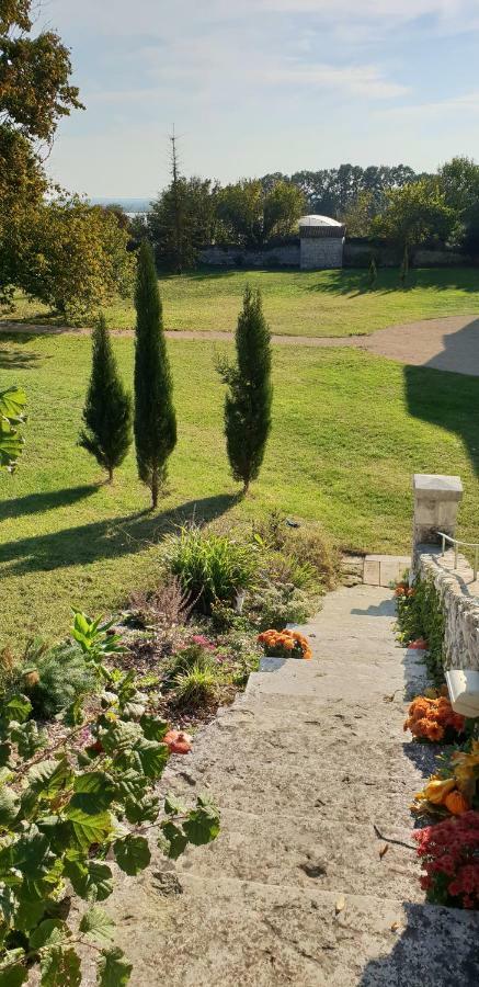 Domaine De Bourgville Monts-sur-Guesnes Eksteriør billede
